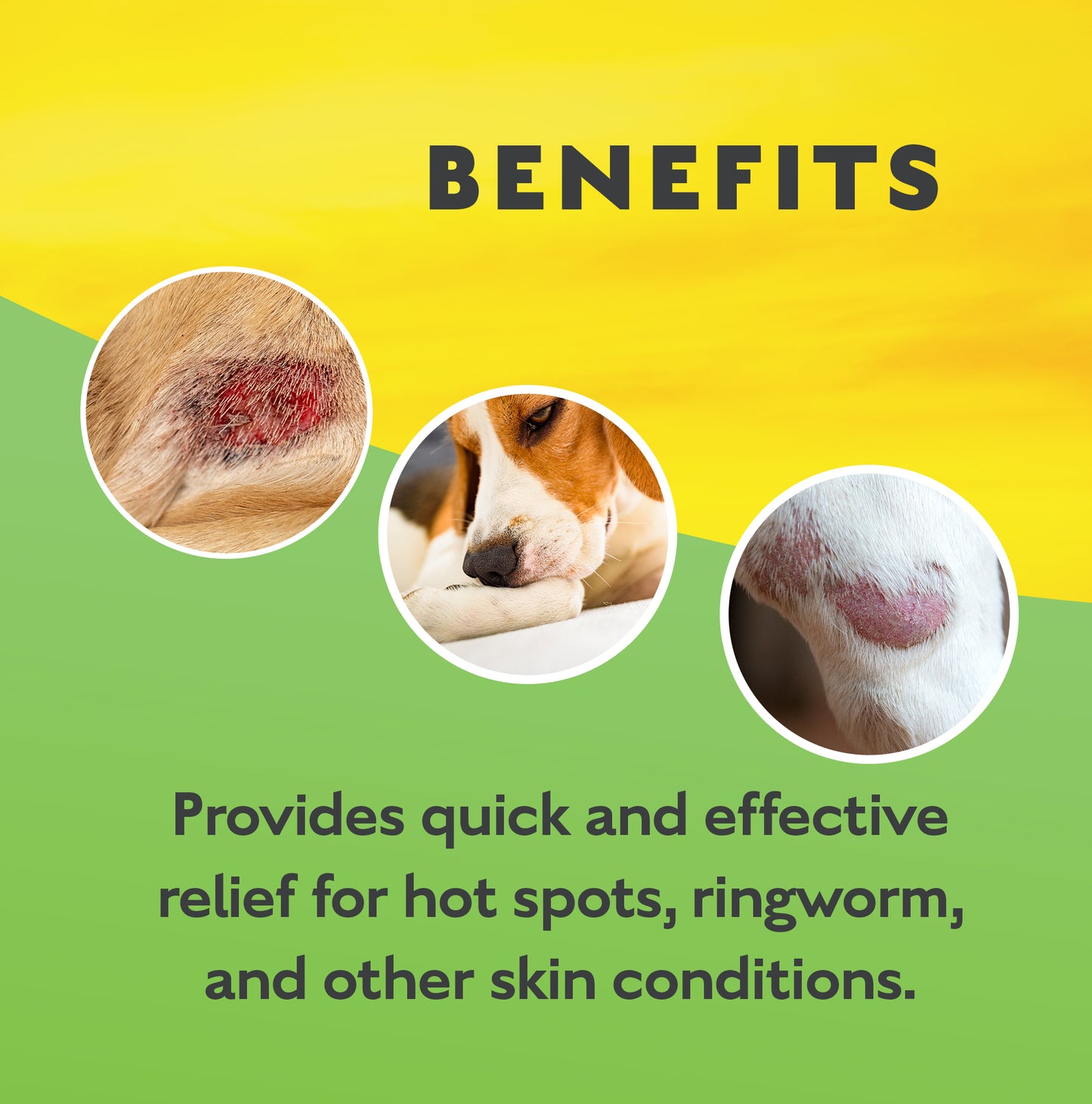 ALLERGY/SKIN/SPRAY- Therapeutic Skin & Coat! Spray