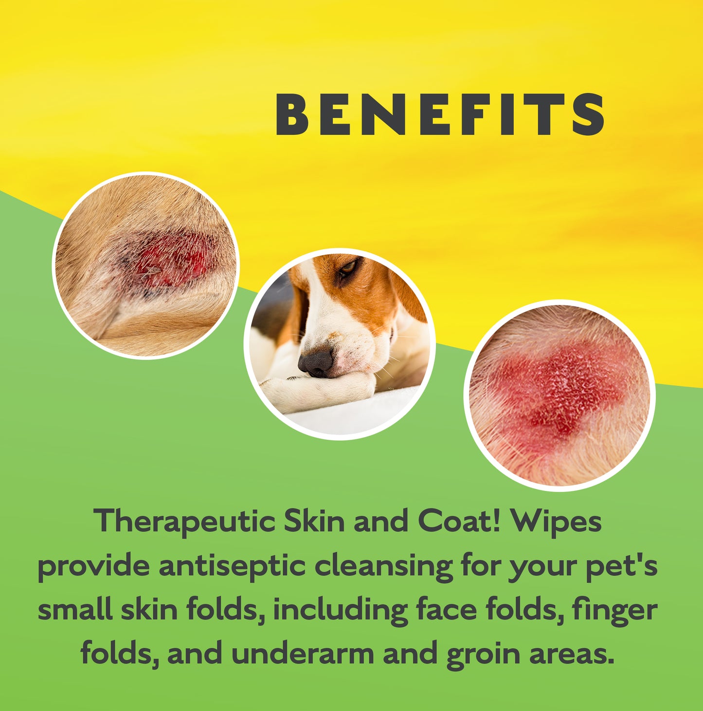 ALLERGY/SKIN/WIPE- Therapeutic Skin & Coat! Wipes