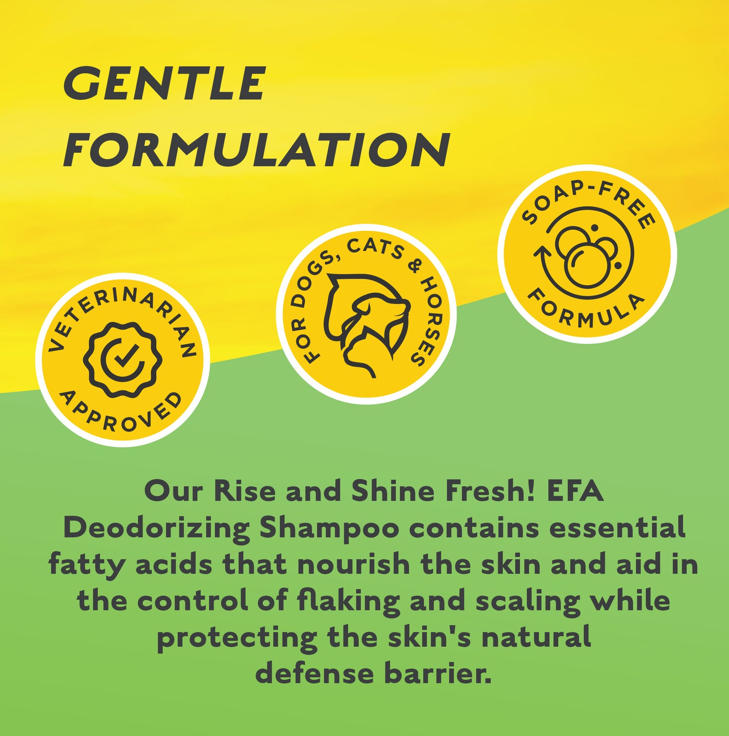 ALLERGY/GROOMING- Rise & Shine Fresh! EFA Deodorizing Shampoo