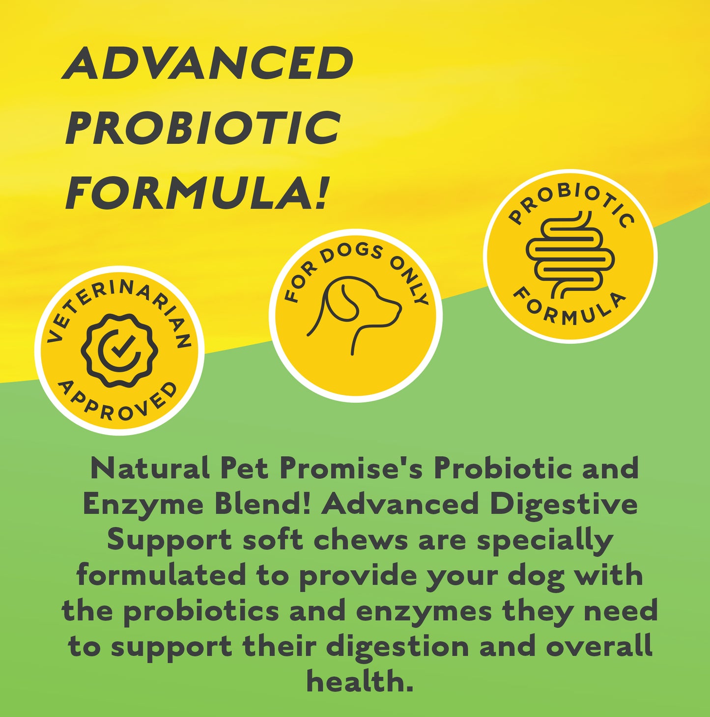DIGESTIVE- Probiotic & Enzyme MAX! Advanced Digestive Support