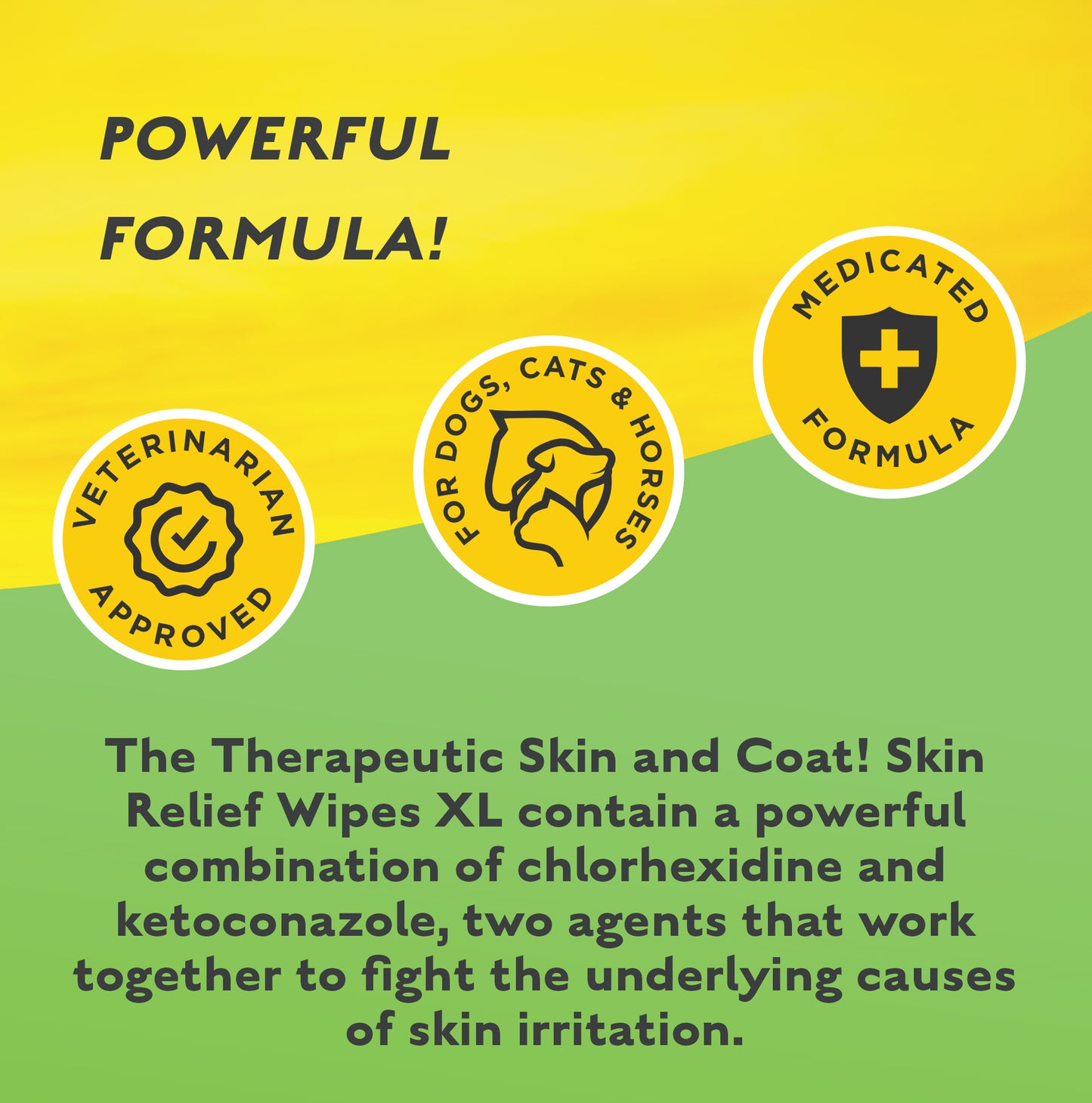 ALLERGY/SKIN/WIPE- Therapeutic Skin and Coat! Skin Relief Wipes XL