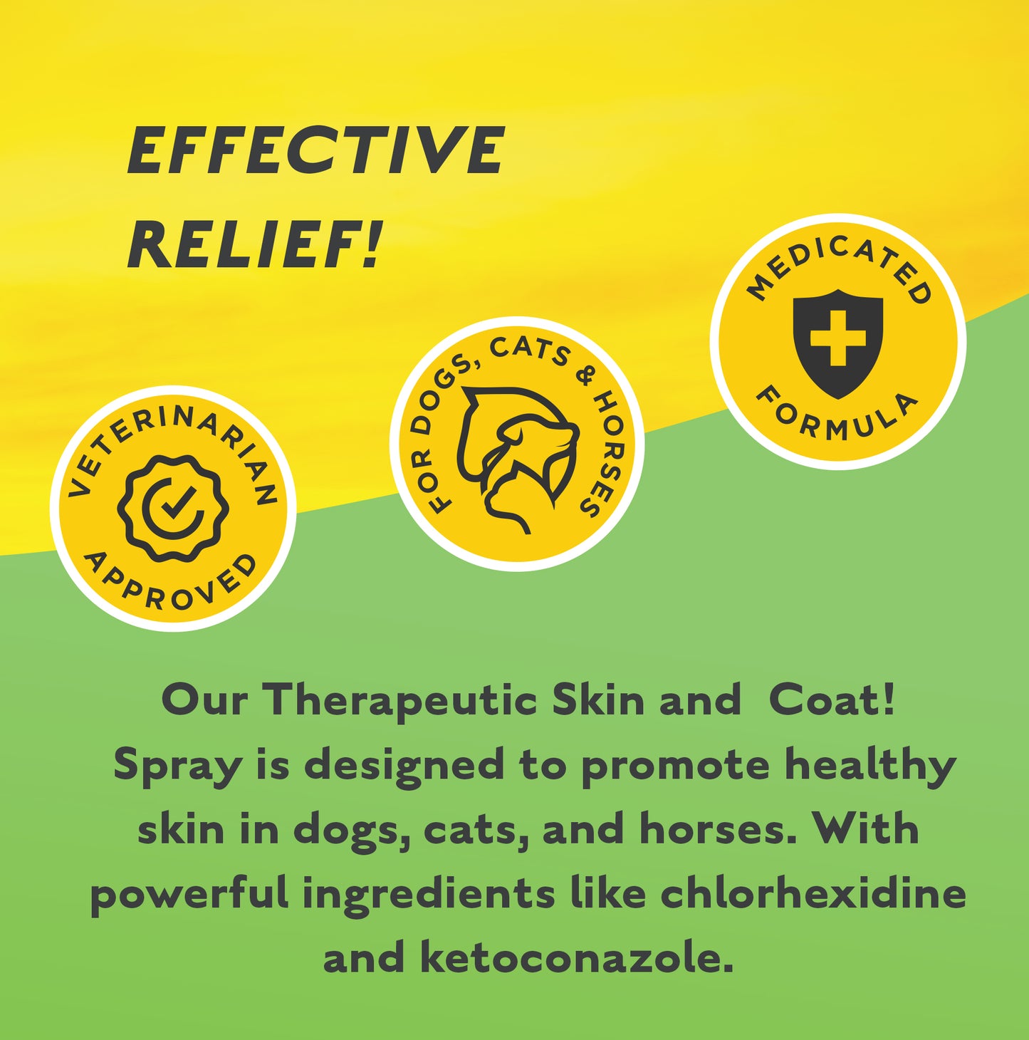 ALLERGY/SKIN/SPRAY- Therapeutic Skin & Coat! Spray