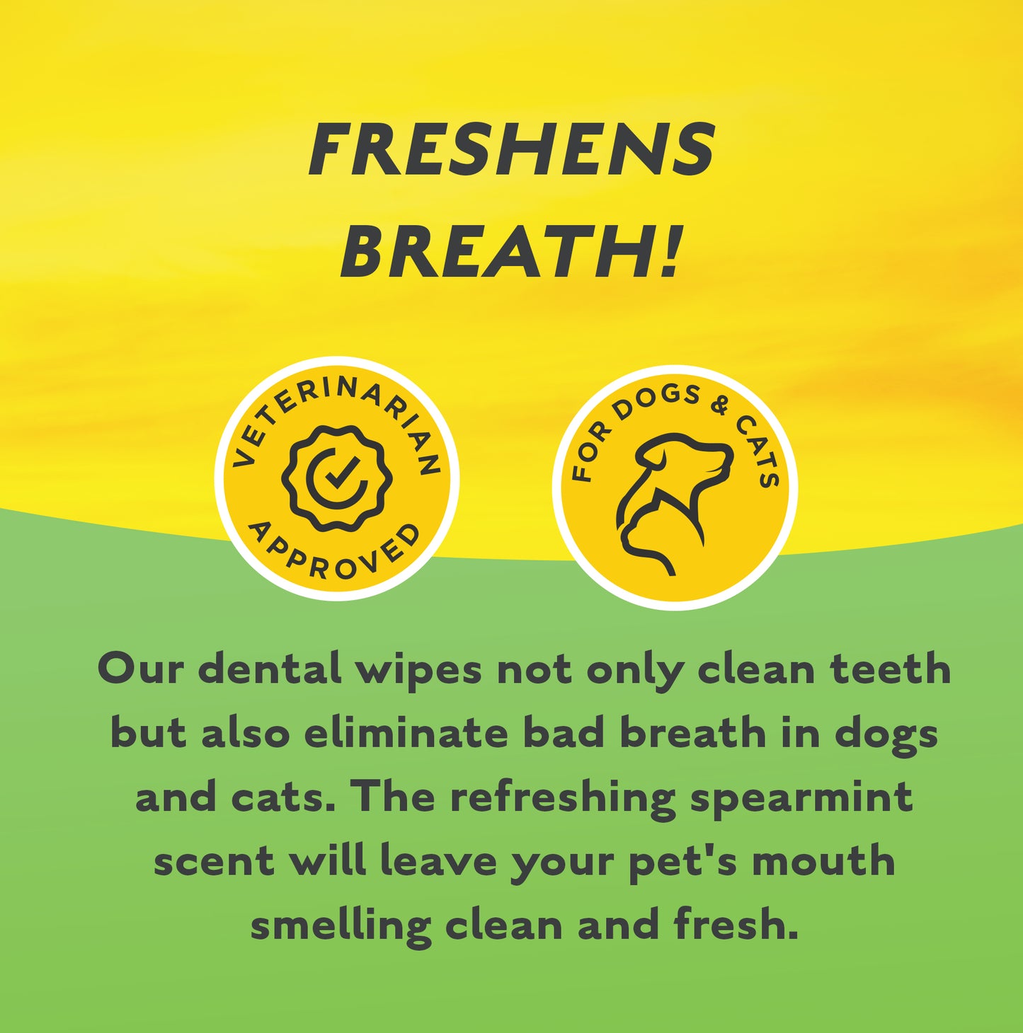 DENTAL/WIPE- Bright Smile! Dental Odor Control Wipes