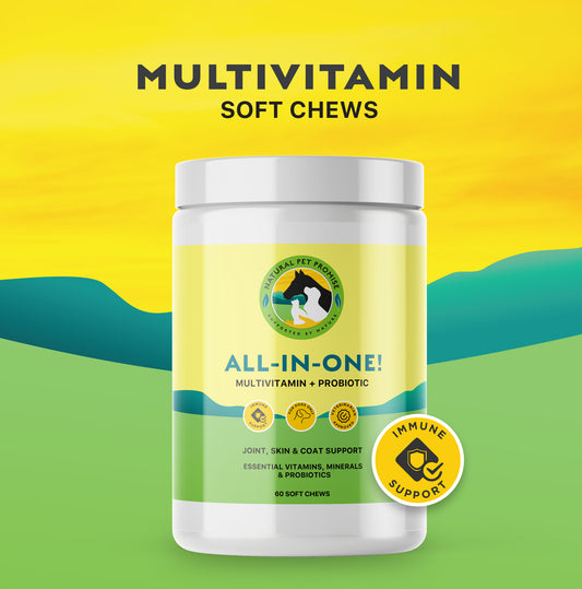 JOINT SUPPORT/VITAMIN- All-In-One! Multivitamin and Probiotic