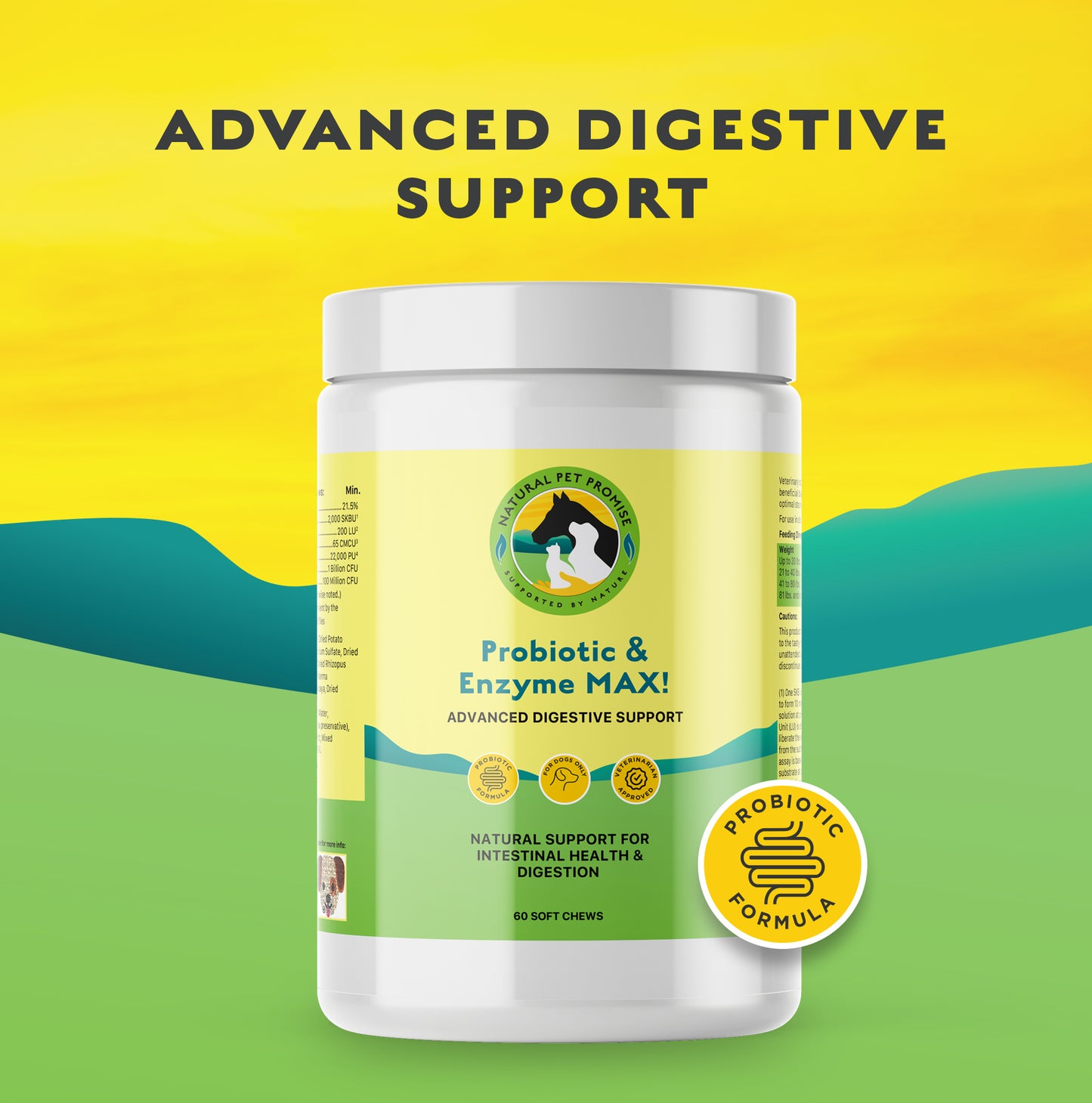 DIGESTIVE- Probiotic & Enzyme MAX! Advanced Digestive Support